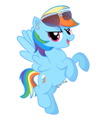 Size: 1280x1512 | Tagged: safe, artist:tenderrain-art, rainbow dash, pony, g4, simple background, solo, sunglasses, transparent background