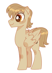 Size: 2637x3695 | Tagged: safe, artist:auroramint, oc, oc only, oc:sky strummer, pegasus, pony, high res, male, reference, solo, stallion