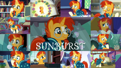 Size: 1968x1108 | Tagged: safe, edit, edited screencap, editor:quoterific, screencap, cranky doodle donkey, daisy, flower wishes, midnight snack (g4), princess flurry heart, sunburst, alicorn, donkey, earth pony, pony, unicorn, a horse shoe-in, a trivial pursuit, celestial advice, g4, shadow play, student counsel, the crystalling, the cutie re-mark, the parent map, the times they are a changeling, uncommon bond, book, female, friendship student, levitation, magic, male, mare, stallion, telekinesis