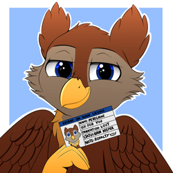 Size: 2000x2000 | Tagged: safe, artist:h3nger, oc, oc only, oc:peregrine, griffon, claws, griffon oc, high res, horny on main, id card, license, male, solo, wings