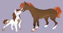 Size: 1280x683 | Tagged: safe, artist:glorymoon, button mash, pipsqueak, earth pony, pony, g4, :i, blaze (coat marking), blushing, boop, buttonsqueak, cheek fluff, chest fluff, coat markings, colored hooves, eye contact, eyebrows, eyebrows visible through hair, facial markings, gay, grin, hoers, looking at each other, male, neck fluff, noseboop, older, purple background, shipping, simple background, size difference, smiling, socks (coat markings), stallion, unshorn fetlocks