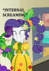 Size: 316x456 | Tagged: safe, rarity, equestria girls, equestria girls series, g4, holidays unwrapped, o come all ye squashful, spoiler:eqg series (season 2), cornucopia costumes, flower, flower in hair, gem, grin, inflatable dress, internal screaming, meme, nervous, nervous smile, shrunken pupils, smiling, text, wide eyes
