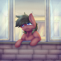 Size: 3500x3500 | Tagged: safe, artist:jane-ander, oc, oc only, oc:bass frets, earth pony, pony, high res, male, solo