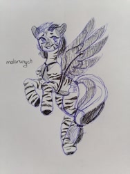 Size: 1200x1600 | Tagged: safe, artist:malarunych, oc, oc only, pony, zebra, solo, wings, zebra oc
