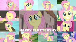 Size: 1280x721 | Tagged: safe, edit, edited screencap, editor:quoterific, screencap, fluttershy, harry, bear, butterfly, pegasus, pony, a bird in the hoof, all bottled up, daring don't, do princesses dream of magic sheep, filli vanilli, hurricane fluttershy, may the best pet win, rainbow falls, scare master, season 1, season 2, season 3, season 4, season 5, season 7, season 9, stare master, sweet and smoky, the cutie map, too many pinkie pies, ^^, cute, eyes closed, female, grin, looking up, mare, open mouth, shyabetes, smiling, twilight's castle