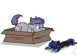 Size: 1152x821 | Tagged: safe, alternate character, alternate version, artist:rokosmith26, part of a set, nightmare moon, oc, oc only, oc:verlo streams, pony, unicorn, g4, bait, behaving like a cat, box, butt fluff, cheek fluff, commission, eyes on the prize, floppy ears, fluffy, horn, if i fits i sits, imminent pounce, looking at something, lying down, male, part of a series, plushie, pony in a box, roko's hunting ponies, simple background, solo, stallion, string, tail, toy, transparent background, ych result