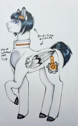 Size: 2354x3804 | Tagged: safe, artist:theartoffallensakura, pegasus, pony, bruno buccellati, high res, jojo's bizarre adventure, ponified, solo