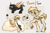 Size: 2198x1434 | Tagged: safe, artist:deersdonotcry, oc, oc only, oc:sand glider, changeling, pegasus, pony, blank flank, brown changeling, changeling oc, chest fluff, disguise, disguised changeling, male, markings, nervous, raised hoof, raised leg, reference sheet, sad, solo, stallion, underhoof, unshorn fetlocks