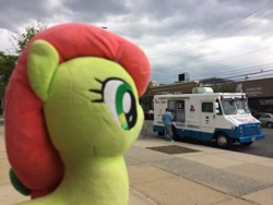 Size: 3264x2448 | Tagged: safe, artist:topsangtheman, peachy sweet, earth pony, pony, g4, apple family member, high res, ice cream truck, irl, photo, plushie, solo