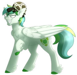 Size: 1106x1080 | Tagged: safe, artist:faith-wolff, oc, oc only, oc:shell watch, pegasus, pony, tortoise, simple background, solo, transparent background