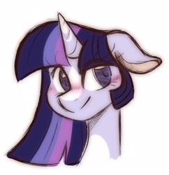 Size: 1401x1449 | Tagged: safe, artist:balychen, twilight sparkle, pony, unicorn, g4, blaze (coat marking), blushing, bust, coat markings, facial markings, portrait, sketch, smiling, solo