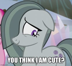 Size: 547x500 | Tagged: safe, edit, edited screencap, screencap, marble pie, pinkie pie, earth pony, pony, g4, hearthbreakers, season 5, bronybait, caption, cropped, cute, duo, duo female, female, floppy ears, image macro, imgflip, marblebetes, mare, offscreen character, offscreen female, smiling, solo focus, text