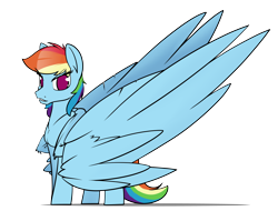 Size: 6300x4800 | Tagged: safe, artist:dacaoo, rainbow dash, pegasus, pony, g4, absurd resolution, female, impossibly large wings, large wings, mare, no pupils, simple background, solo, transparent background, wings