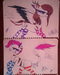 Size: 1080x1349 | Tagged: safe, artist:shards_of_black_glass, hybrid, pony, zebra, zebracorn, antlers, clothes, duo, female, mare, signature, socks, striped socks, traditional art, wings