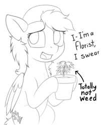 Size: 1441x1759 | Tagged: safe, artist:zippysqrl, oc, oc only, oc:sugar leaves, pegasus, pony, dialogue, female, mare, monochrome, potted plant, simple background, solo, white background