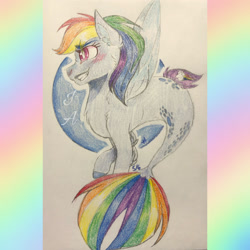 Size: 2289x2289 | Tagged: safe, artist:jdash15, rainbow dash, pegasus, pony, seapony (g4), g4, blushing, dorsal fin, female, fin wings, fish tail, high res, pink eyes, seaponified, seapony rainbow dash, simple background, smiling, solo, species swap, tail, traditional art, white background, wings