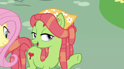 Size: 1920x1080 | Tagged: safe, screencap, fluttershy, tree hugger, earth pony, pegasus, pony, g4, make new friends but keep discord, duo, duo female, female, mare, open mouth, raised hoof