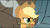 Size: 2208x1242 | Tagged: safe, screencap, applejack, diamond dog, earth pony, pony, a dog and pony show, g4, my little pony: friendship is magic, season 1, applejack is not amused, applejack's hat, bridle, cowboy hat, diamond dog guard, diamond dog riding applejack, dogs riding ponies, duo, female, hat, hub logo, male, open mouth, riding, tack, unamused