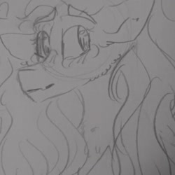 Size: 1080x1080 | Tagged: safe, artist:cocolove2176, fluttershy, pegasus, pony, g4, blushing, bust, female, grayscale, lineart, mare, monochrome, traditional art