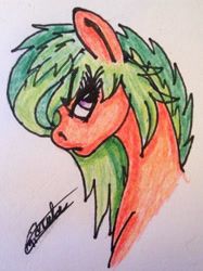 Size: 2025x2712 | Tagged: safe, artist:beamybutt, oc, oc only, earth pony, pony, bust, earth pony oc, eyelashes, female, high res, mare, signature, solo, traditional art