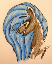 Size: 2073x2531 | Tagged: safe, artist:beamybutt, oc, oc only, earth pony, pony, bust, earth pony oc, eyelashes, female, grin, high res, mare, signature, smiling, solo, traditional art