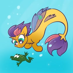 Size: 2048x2048 | Tagged: safe, artist:pfeffaroo, oc, oc only, oc:kettle chip, frog, seapony (g4), bubble, fish tail, high res, horn, seaponified, solo, species swap, swimming, tail, underwater, water