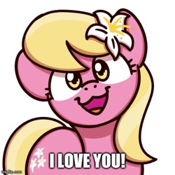 Size: 500x500 | Tagged: safe, artist:sugar morning, edit, editor:glimenade, editor:professorventurer, lily, lily valley, g4, bronybait, caption, cute, i love you, image macro, imgflip, lilybetes, sugar morning's smiling ponies, text