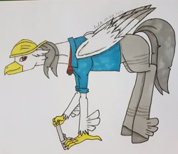 Size: 3161x2734 | Tagged: safe, artist:agdapl, classical hippogriff, hippogriff, clothes, crossover, engineer, helmet, high res, male, signature, simple background, solo, species swap, traditional art, white background