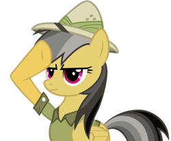 Size: 900x743 | Tagged: safe, artist:bc-programming, daring do, pegasus, pony, g4, hat, salute, vector