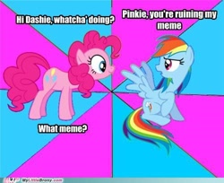 Size: 500x408 | Tagged: safe, pinkie pie, rainbow dash, earth pony, pegasus, pony, g4, annoyed, caption, duo, female, image macro, looking at each other, mare, meme, my little brony, text