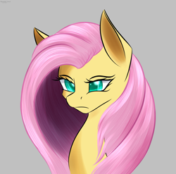 Size: 3035x3002 | Tagged: safe, artist:renarde-louve, fluttershy, pegasus, pony, g4, angry, bust, female, frown, gray background, high res, mare, peeved, portrait, simple background, solo, three quarter view