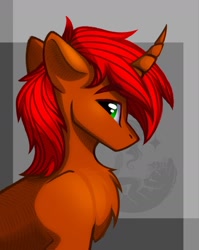 Size: 1220x1536 | Tagged: safe, artist:alrumoon_art, oc, oc only, oc:rayven, pony, unicorn, chest fluff, male, profile, solo