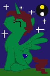 Size: 800x1229 | Tagged: safe, artist:kevan94, oc, oc only, oc:kevan, alicorn, pony, alicorn oc, brown mane, brown tail, horn, solo, stars, wings