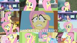 Size: 1280x721 | Tagged: safe, edit, edited screencap, editor:quoterific, screencap, fluttershy, rainbow dash, bird, pegasus, pony, dragonshy, filli vanilli, flutter brutter, fluttershy leans in, g4, games ponies play, green isn't your color, it ain't easy being breezies, just for sidekicks, magic duel, princess twilight sparkle (episode), season 1, season 2, season 3, season 4, season 6, season 7, stare master, the crystal empire, the return of harmony, :o, bag, diamond, duo, duo female, eyes closed, female, mare, open mouth, saddle bag, scared, shocked, shocked expression, train station, wide eyes
