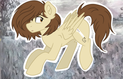 Size: 3893x2524 | Tagged: safe, artist:dreamy990, oc, oc only, pegasus, pony, high res, male, pegasus oc, solo, stallion