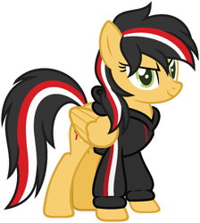 Size: 1024x1141 | Tagged: safe, artist:pegasski, oc, oc only, oc:aurelian, pegasus, pony, g4, clothes, female, hoodie, mare, simple background, solo, transparent background