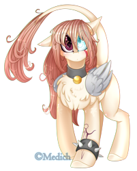 Size: 1800x2240 | Tagged: safe, artist:mediasmile666, oc, oc only, pegasus, pony, chest fluff, collar, leonine tail, simple background, solo, transparent background