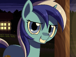 Size: 800x600 | Tagged: safe, artist:rangelost, minuette, pony, unicorn, cyoa:d20 pony, g4, bust, female, looking at you, mare, night, night sky, pixel art, sky, solo