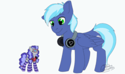 Size: 1280x759 | Tagged: safe, artist:bluemachine, artist:spooky unicornus, oc, oc only, oc:cinnabyte, oc:moonlight drop, pegasus, pony, animated, boop, cinnabetes, clothes, cute, female, frame by frame, macro, male, mare, micro, noseboop, nuzzling, ocbetes, open mouth, simple background, size difference, smiling, socks, spread wings, stallion, striped socks, white background, wings
