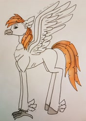 Size: 2616x3704 | Tagged: safe, artist:agdapl, oc, oc only, classical hippogriff, hippogriff, high res, signature, solo, traditional art