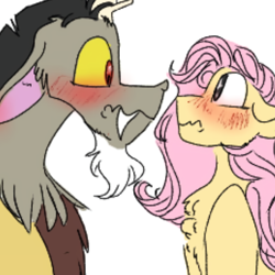 Size: 1080x1080 | Tagged: safe, artist:cocolove2176, discord, fluttershy, draconequus, pegasus, pony, g4, blushing, bust, chest fluff, comic, embarrassed, female, male, ship:discoshy, shipping, straight