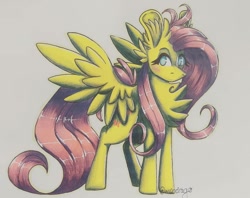 Size: 1080x854 | Tagged: safe, artist:xneodrago, fluttershy, pegasus, pony, g4, blushing, chest fluff, ear fluff, eyelashes, female, mare, signature, solo, traditional art, wings