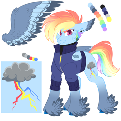 Size: 3000x3000 | Tagged: safe, artist:gingygin, rainbow dash, pony, g4, alternate design, clothes, feathered fetlocks, high res, jacket, solo