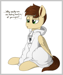 Size: 2553x3055 | Tagged: safe, artist:stardustspix, oc, oc only, oc:finicus, oc:second wind (eaw), changeling, pegasus, pony, equestria at war mod, clothes, cute, dialogue, high res, hoodie, lidded eyes, open mouth, oversized clothes, simple background, sitting, solo, unamused