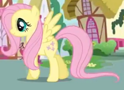 Size: 293x213 | Tagged: safe, fluttershy, pegasus, pony, g4, adventures in ponyville, game, ponyville, smiling, walking, wings