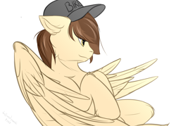 Size: 1400x1000 | Tagged: safe, artist:snowstormbat, oc, oc only, oc:zaylem, pegasus, pony, baseball cap, cap, flying, hat, male, solo, stallion