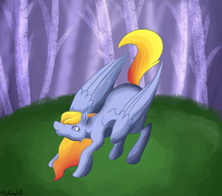 Size: 4364x3858 | Tagged: safe, artist:misskanabelle, oc, oc only, pegasus, pony, female, looking up, mare, outdoors, pegasus oc, signature, solo, wings