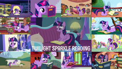 Size: 1280x721 | Tagged: safe, edit, edited screencap, editor:quoterific, screencap, aura (g4), bon bon, coco crusoe, doctor whooves, lyra heartstrings, meadow song, merry may, parasol, pinkie pie, roseluck, spike, sunshower raindrops, sweetie drops, time turner, twilight sparkle, alicorn, dragon, earth pony, pegasus, pony, unicorn, a canterlot wedding, amending fences, applebuck season, friendship is magic, g4, griffon the brush off, not asking for trouble, pinkie apple pie, pinkie pride, season 1, season 2, season 3, season 4, season 5, season 7, shadow play, spike at your service, testing testing 1-2-3, the cutie mark chronicles, too many pinkie pies, bench, book, cute, female, filly, filly twilight sparkle, golden oaks library, magic, male, mare, melody (g4), night, open mouth, ponyloaf, reading, sitting, smiling, stallion, telekinesis, that pony sure does love books, twiabetes, twilight sparkle (alicorn), twilight's castle, unicorn twilight, younger