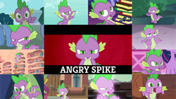 Size: 1280x719 | Tagged: safe, edit, edited screencap, editor:quoterific, screencap, spike, twilight sparkle, alicorn, dragon, pony, dragon quest, every little thing she does, flutter brutter, g4, gauntlet of fire, it ain't easy being breezies, just for sidekicks, lesson zero, molt down, owl's well that ends well, ppov, rarity takes manehattan, season 1, season 2, season 3, season 4, season 6, season 8, simple ways, the break up breakdown, angry, book, crossed arms, cute, female, ladder, letterboxing, madorable, male, mare, offscreen character, open mouth, spike is not amused, stallion, twilight sparkle (alicorn), twilight's castle, unamused, winged spike, wings