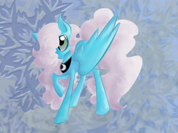 Size: 2592x1936 | Tagged: safe, artist:supah-panda, oc, oc only, oc:snowshoe, pegasus, pony, abstract background, female, large wings, mare, peytral, solo, wings